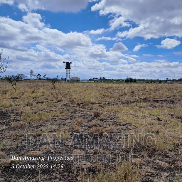 2 Acres for Sale Birika Ostrich Farm - thumbnail 5