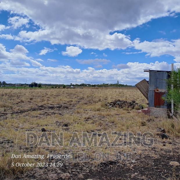 2 Acres for Sale Birika Ostrich Farm - thumbnail 6