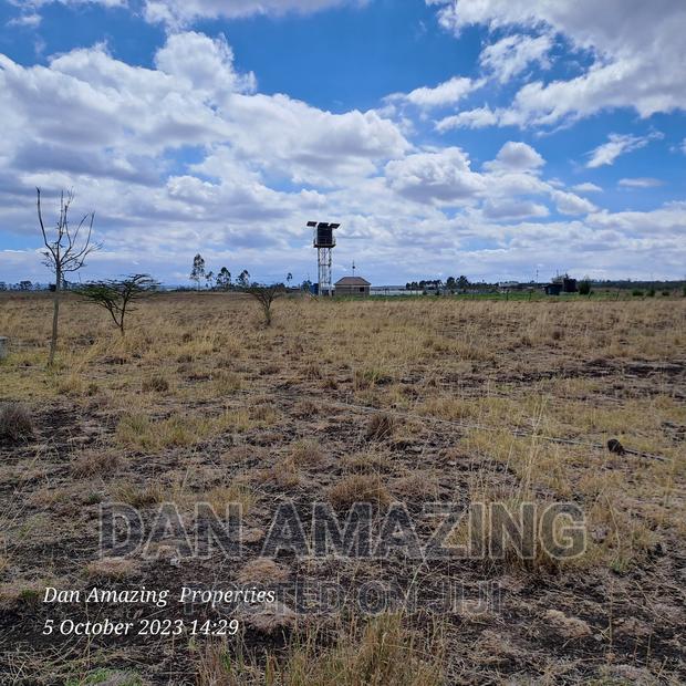 2 Acres for Sale Birika Ostrich Farm - thumbnail 7