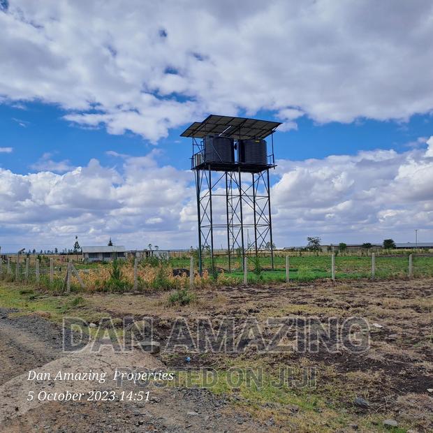 2 Acres for Sale Birika Ostrich Farm - main view