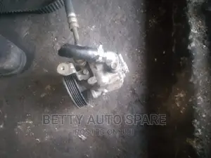 Subaru Forester Sh 5 Cartilage Power Steering Pump