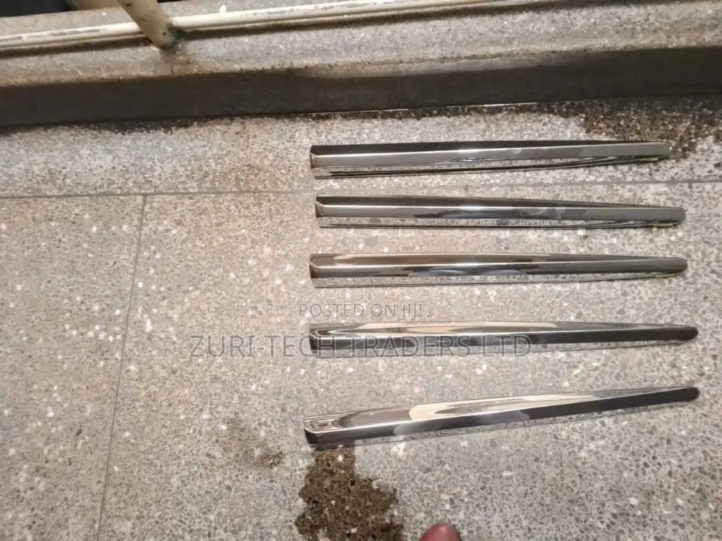 Door Chrome Mouldings Harrier