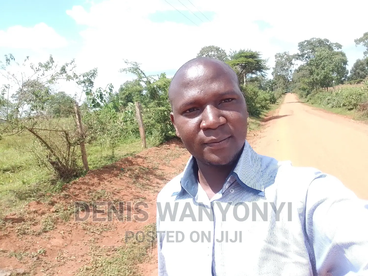 Remote Digital Marketer