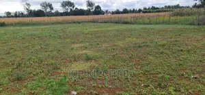 Prime 1⁄4 Plot for Sale in Chepkanga Willow Tree in Eldoret