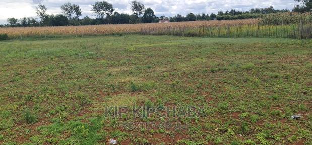 Prime 1⁄4 Plot for Sale in Chepkanga Willow Tree in Eldoret - main view