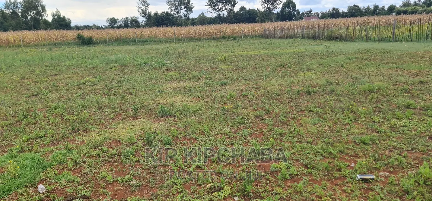 Prime 1⁄4 Plot for Sale in Chepkanga Willow Tree in Eldoret
