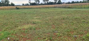 Prime 1⁄4 Plot for Sale in Chepkanga Willow Tree in Eldoret