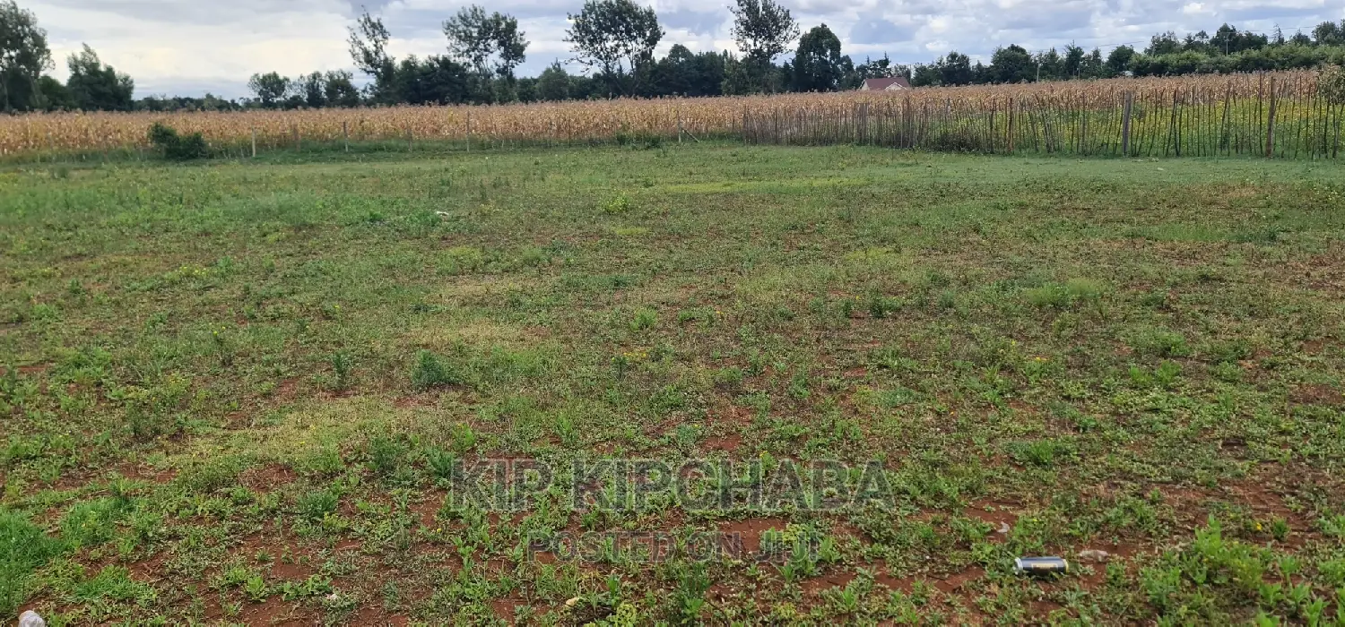 Prime 1⁄4 Plot for Sale in Chepkanga Willow Tree in Eldoret