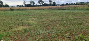 Prime 1⁄4 Plot for Sale in Chepkanga Willow Tree in Eldoret