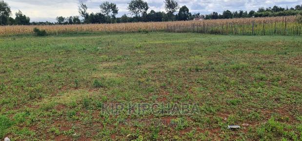 Prime 1⁄4 Plot for Sale in Chepkanga Willow Tree in Eldoret - thumbnail 4