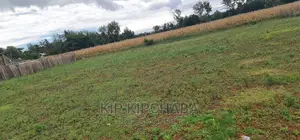 Prime 1⁄4 Plot for Sale in Chepkanga Willow Tree in Eldoret