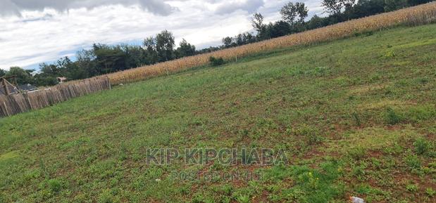 Prime 1⁄4 Plot for Sale in Chepkanga Willow Tree in Eldoret - thumbnail 5