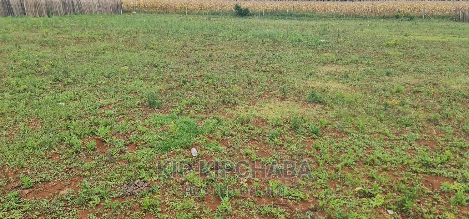 Prime 1⁄4 Plot for Sale in Chepkanga Willow Tree in Eldoret