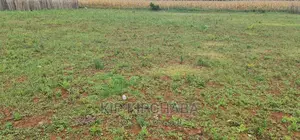 Prime 1⁄4 Plot for Sale in Chepkanga Willow Tree in Eldoret