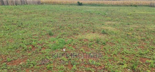 Prime 1⁄4 Plot for Sale in Chepkanga Willow Tree in Eldoret - thumbnail 6
