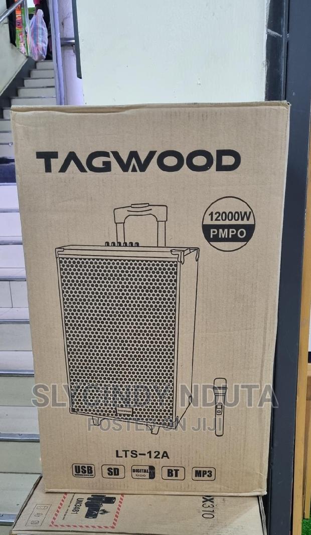 Tagwood LTS-12a Speaker