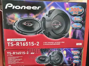 Pioneer 6 Inch 300 Watts Midrange Speakers - TS-R1651S