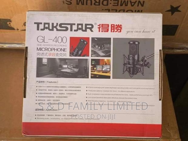 Takstar GL-400 Recording Microphone - thumbnail 2