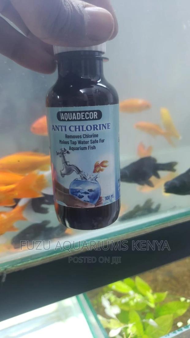 Antichlorine Safe for Fish