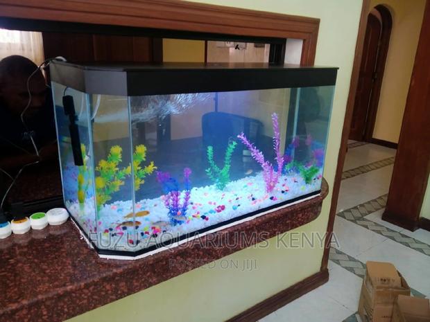 Aquarium (Three Feet Length)