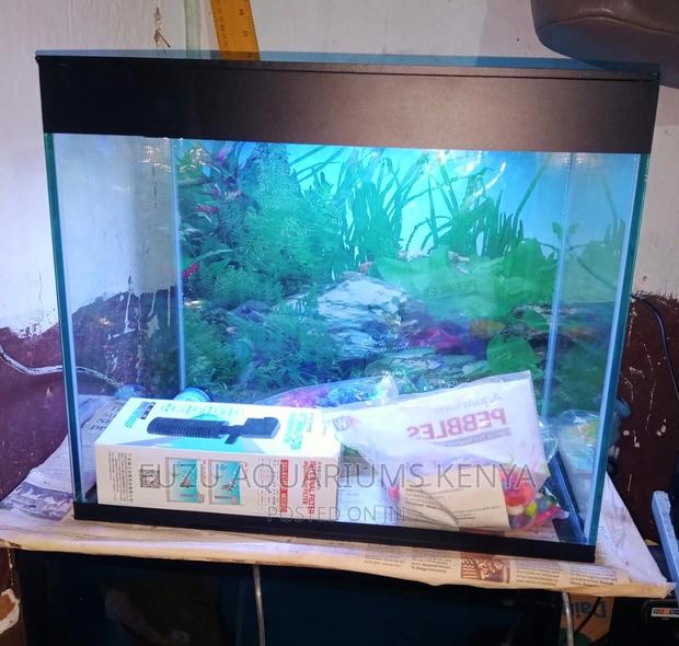 Complete 40 LTRS Aquarium With Fish