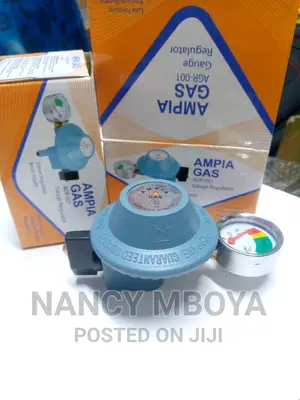 13 KGS Gas Regulator With Gauge