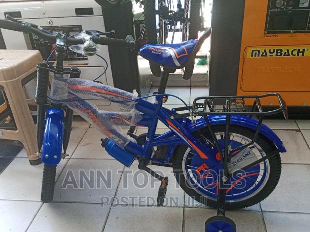 Premier Size 16 Bicycle - main view