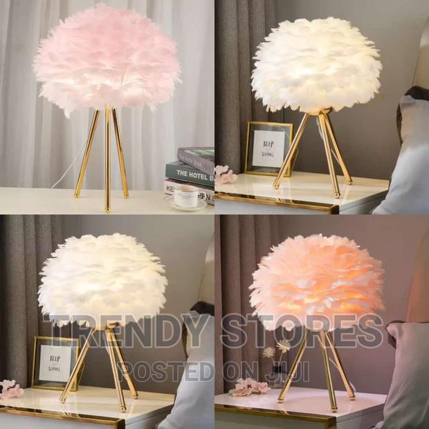 L.E.D Modern Night Feather Light - main view