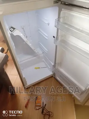 Fridge Compressor Inverters