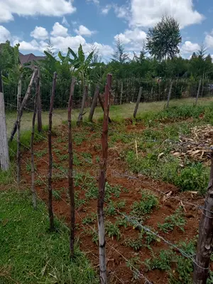 1/8 Plot for Sale Ilula.