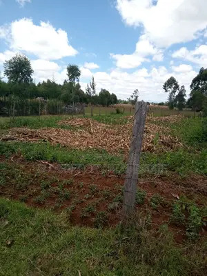 1/8 Plot for Sale Ilula.