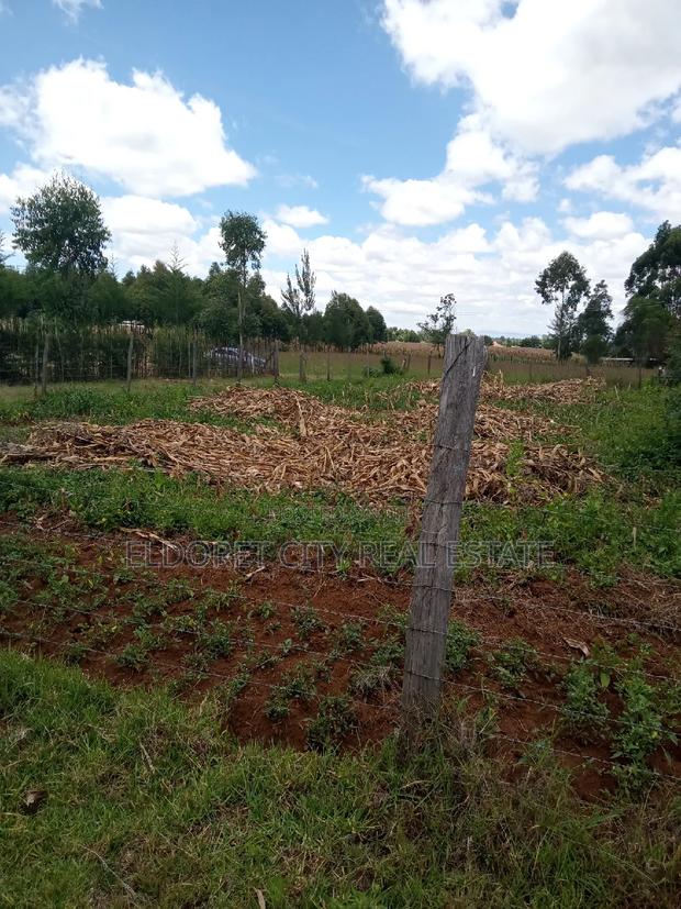 1/8 Plot for Sale Ilula. - thumbnail 2