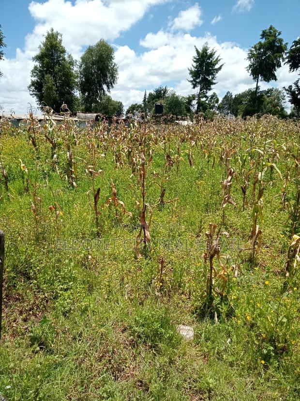 1/4 Plot Kimumu Ideal for Rental With Title - thumbnail 2