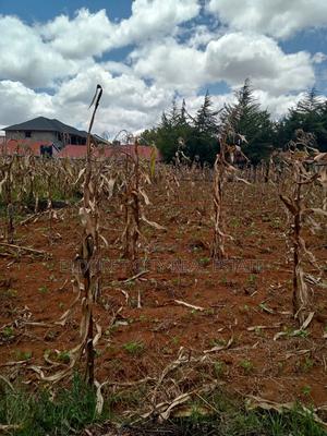 1/4 Plot Kimumu Ideal for Rental With Title. - main view