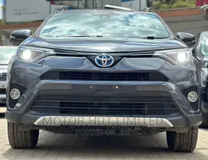 Toyota RAV4 XLE AWD (2.5L 4cyl 6A) 2017 Gray