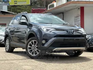 Toyota RAV4 XLE AWD (2.5L 4cyl 6A) 2017 Gray