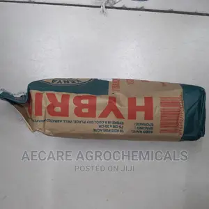 Maize Ph 1 Hybrid Seeds 2kgs (Simlaw)
