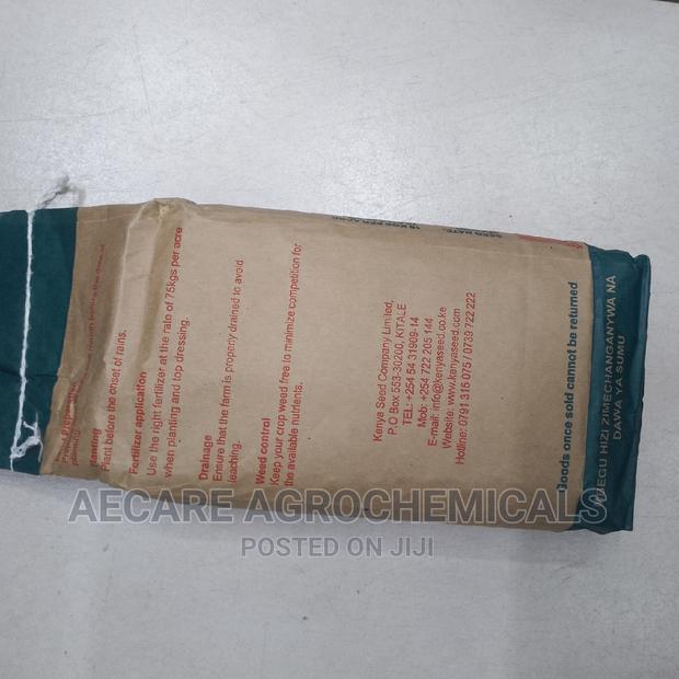 Maize Ph 1 Hybrid Seeds 2kgs (Simlaw) - thumbnail 4