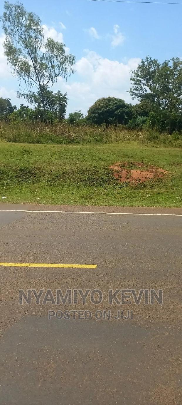 Bondo Koyucho - thumbnail 3