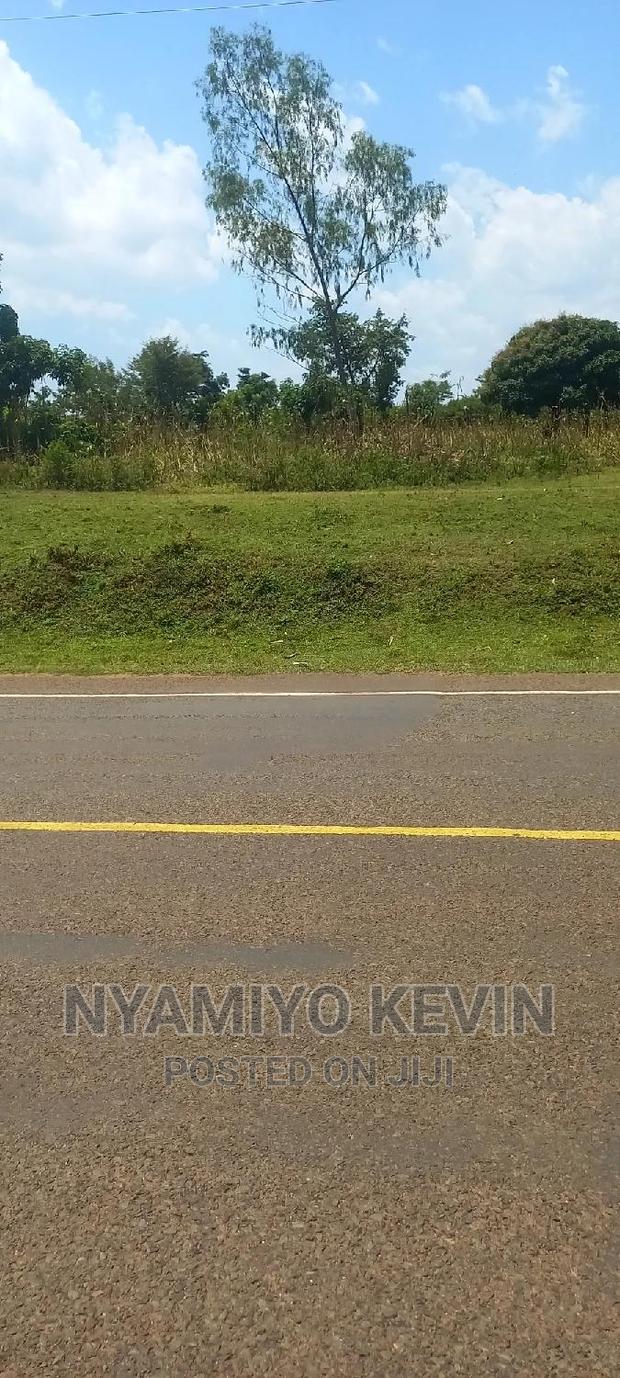 Bondo Koyucho - thumbnail 4