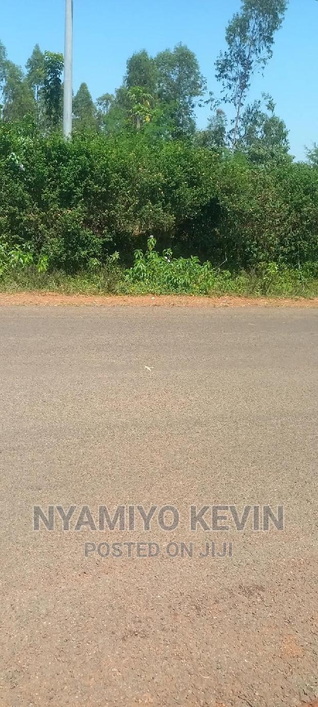 Bondo Koyucho - thumbnail 5