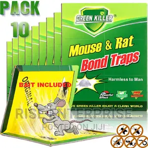 Rat And Mouse Glue Board