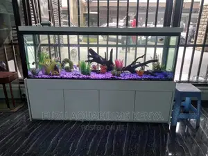 6ft Aquarium Complete With Deco Fish