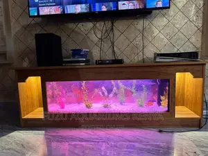 Aquarium TV Stand