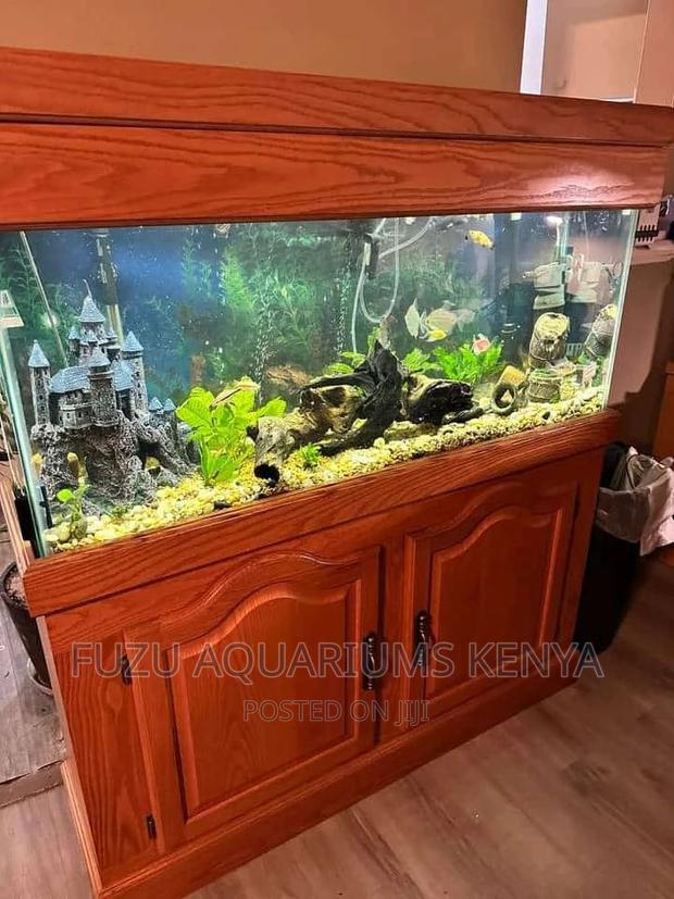 Complete Aquarium With Stand Lid With Deco