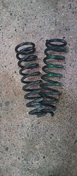 Toyota Axio Heavy Duty Springs