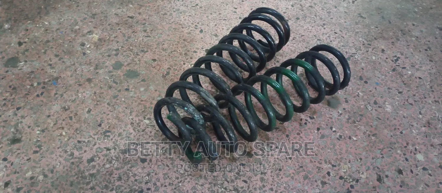 Toyota Axio Heavy Duty Springs