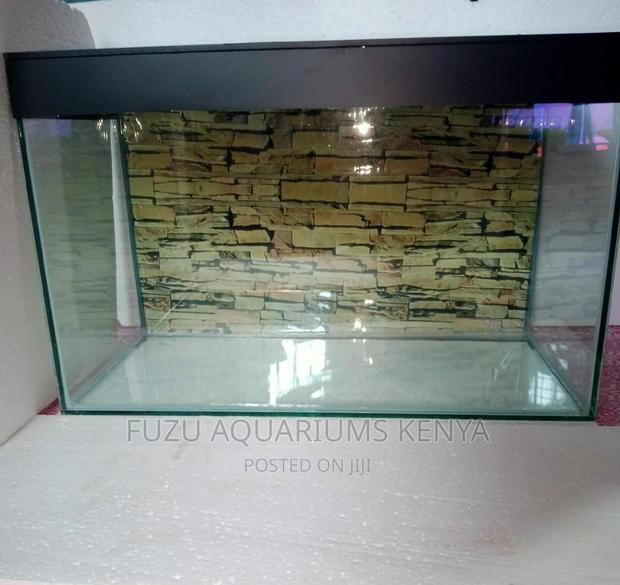 Empty Aquarium With 2 Fish - main view