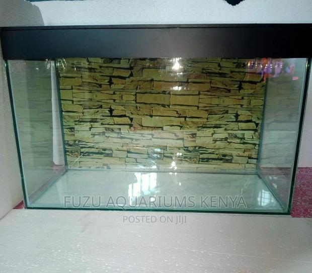 Empty Aquarium With 2 Fish - thumbnail 3