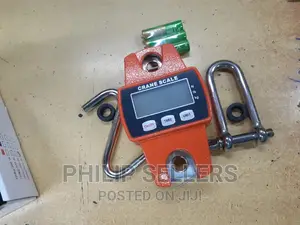 Digital Hanging Scale 300 Kg / 600 LBS Ocs-L Industrial Cran